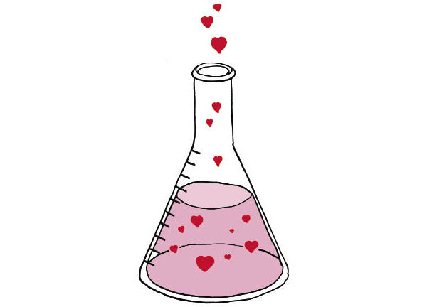 A química do amor e o cérebro - PDH PSICOLOGIA